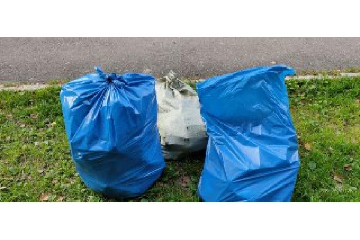 Sacchi per spazzatura super resistenti TOPEX 120 litri 10 pezzi, blu