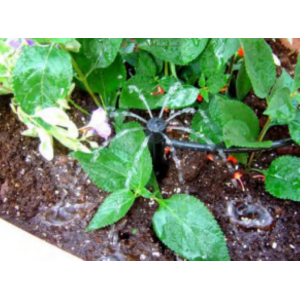 Bubbler spider 360 confezione 5 pezzi  695.0431000