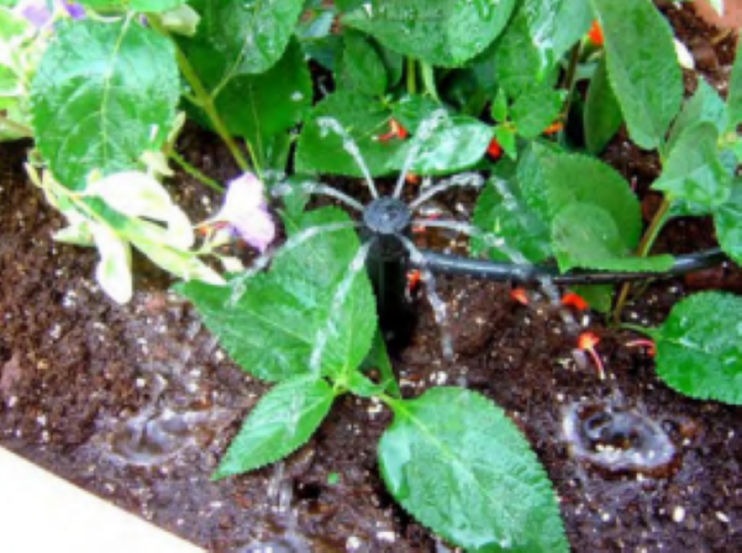 Bubbler SPIDER 360 Rain 695.0431000 u2013 5 pezzi per microirrigazione