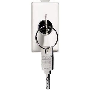 Pulsante a chiave matix 2p 10a - 250 vac  am5007p