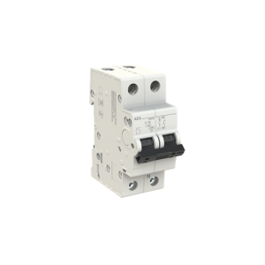 Interruttore magnetotermico 1p+n 6a curva c 4,5ka 230v 2 moduli  dg41nc06