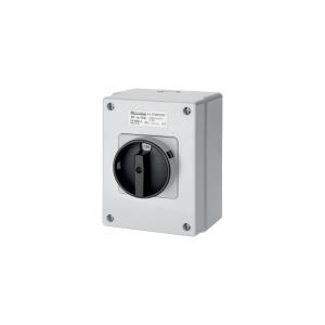 Interruttore sezionatore rotativo parete 16a 2p ip67 abs grigio nero  ec660162m
